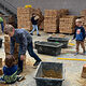In der Bauhalle versuchen sich viele Kinder daran, Ziegelsteine mit Beton zu mauern. 