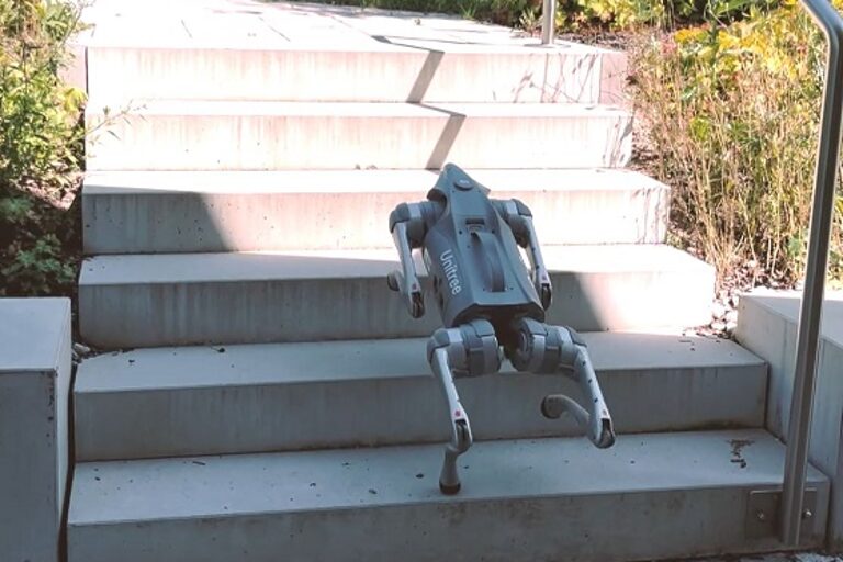 Projekt 5G - Roboterhund geht eine Treppe im offenen Gelände hinauf.