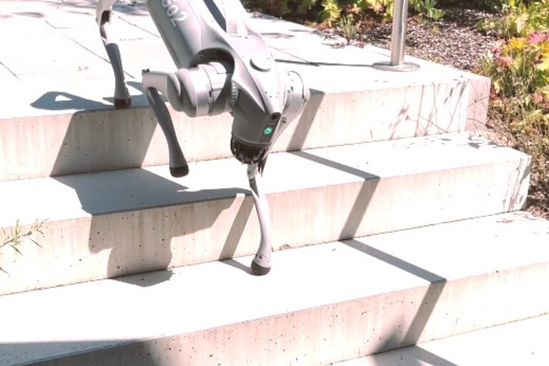 Inspektionsdrohne Roboterhund geht eine Treppe hinab.